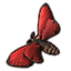 Carmine Wood Moth icon